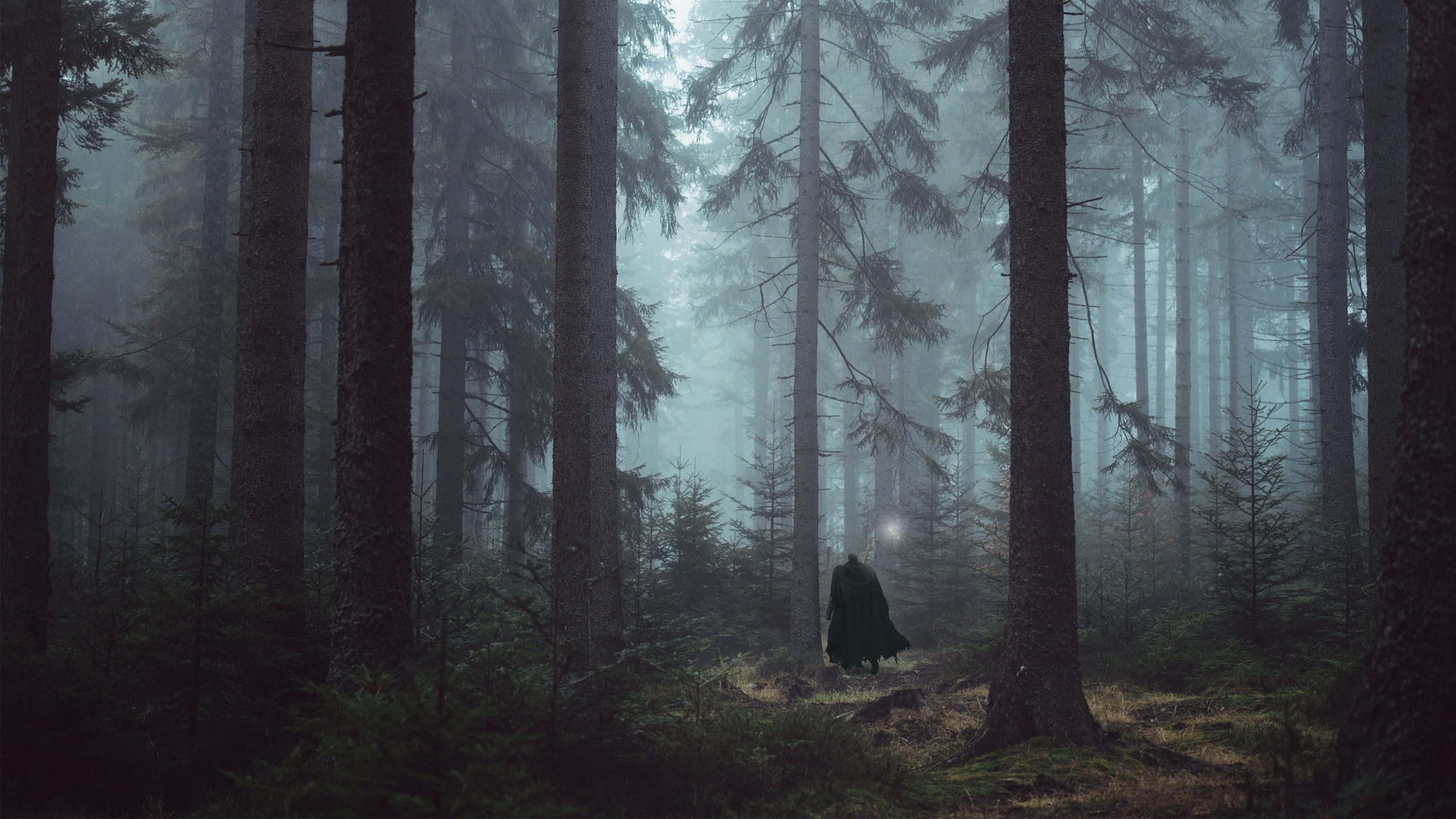 Berserk Dark Forest Wizard 4K Wallpaper