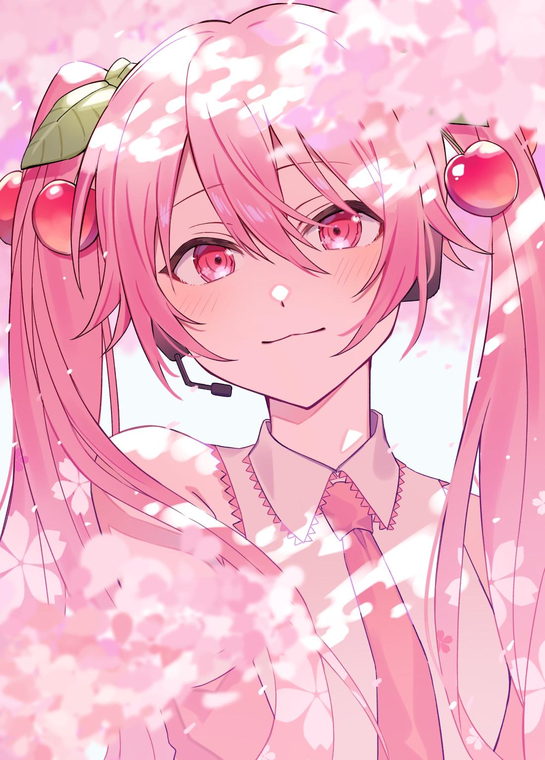 Sakura Miku Rosa Körsbärsblomma 4K Bakgrundsbild