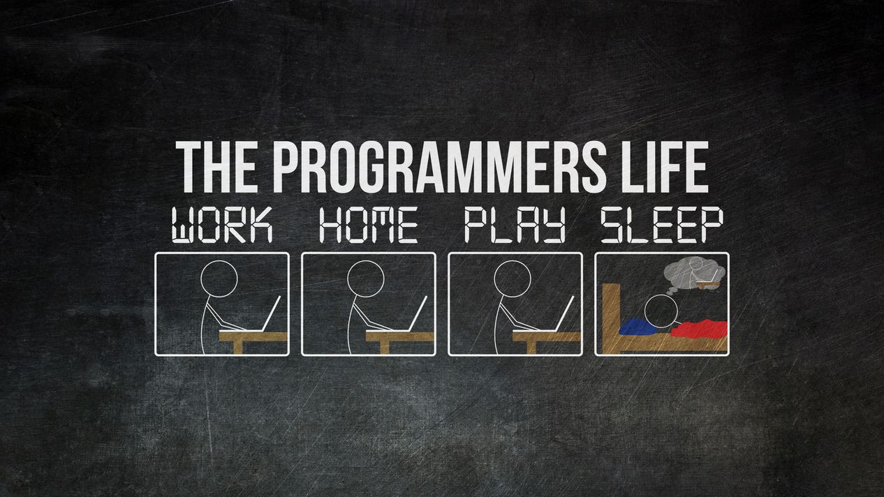 The Programmers Life Wallpaper - Work Home Play Sleep