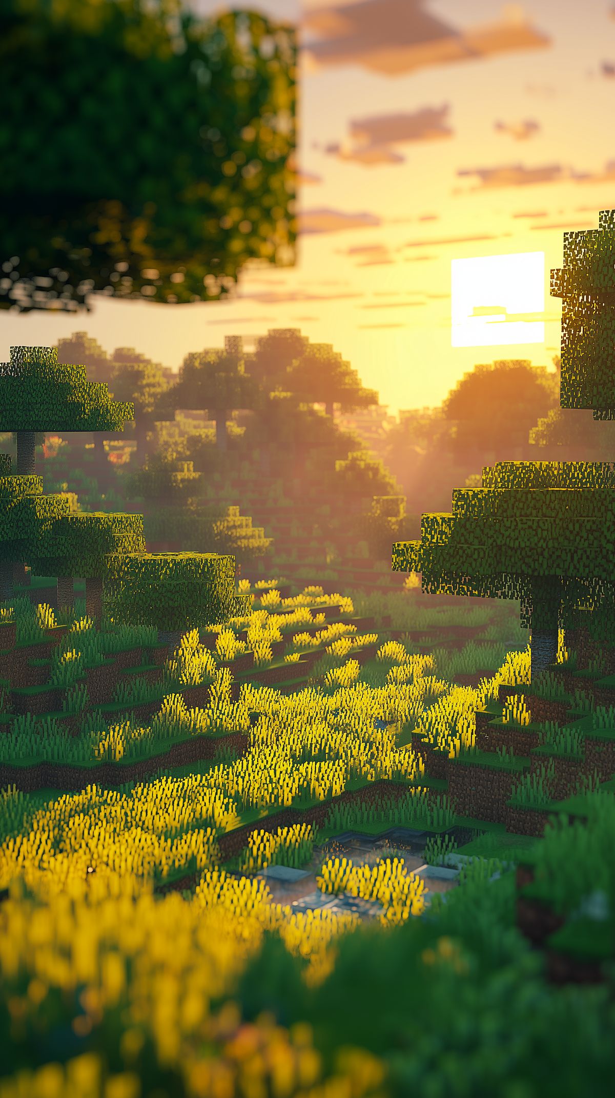 טפט עמק השקיעה של Minecraft באיכות 4K