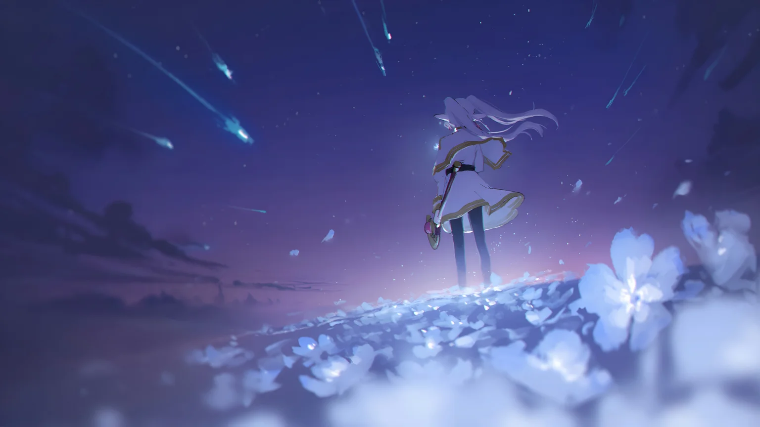 Frieren Wallpaper – Meteor Shower Over Flower Field
