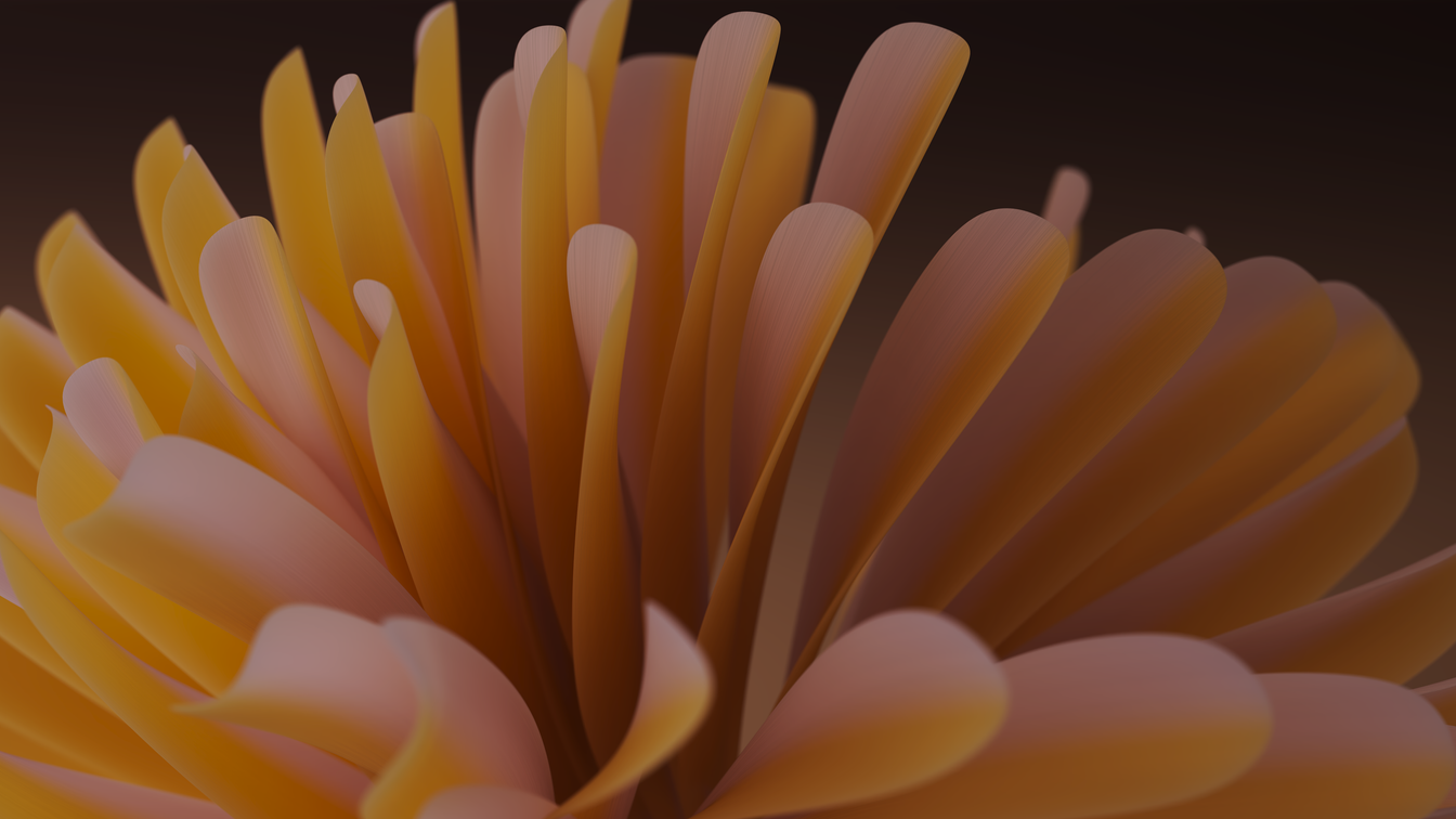 Windows 11 Abstract Flower Petals 4K Wallpaper