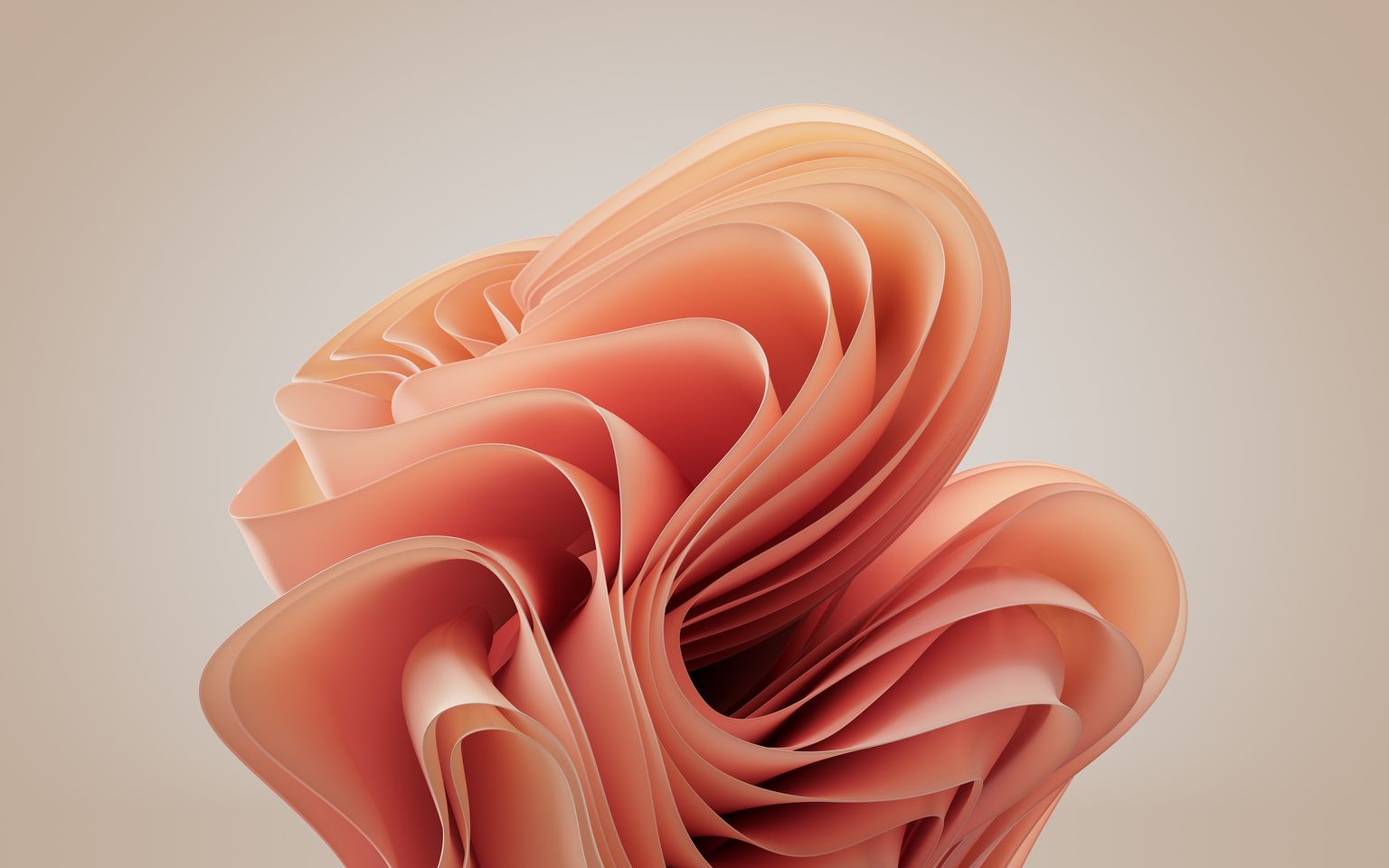 Windows 11 Pfirsichblüte Abstraktes Hintergrundbild