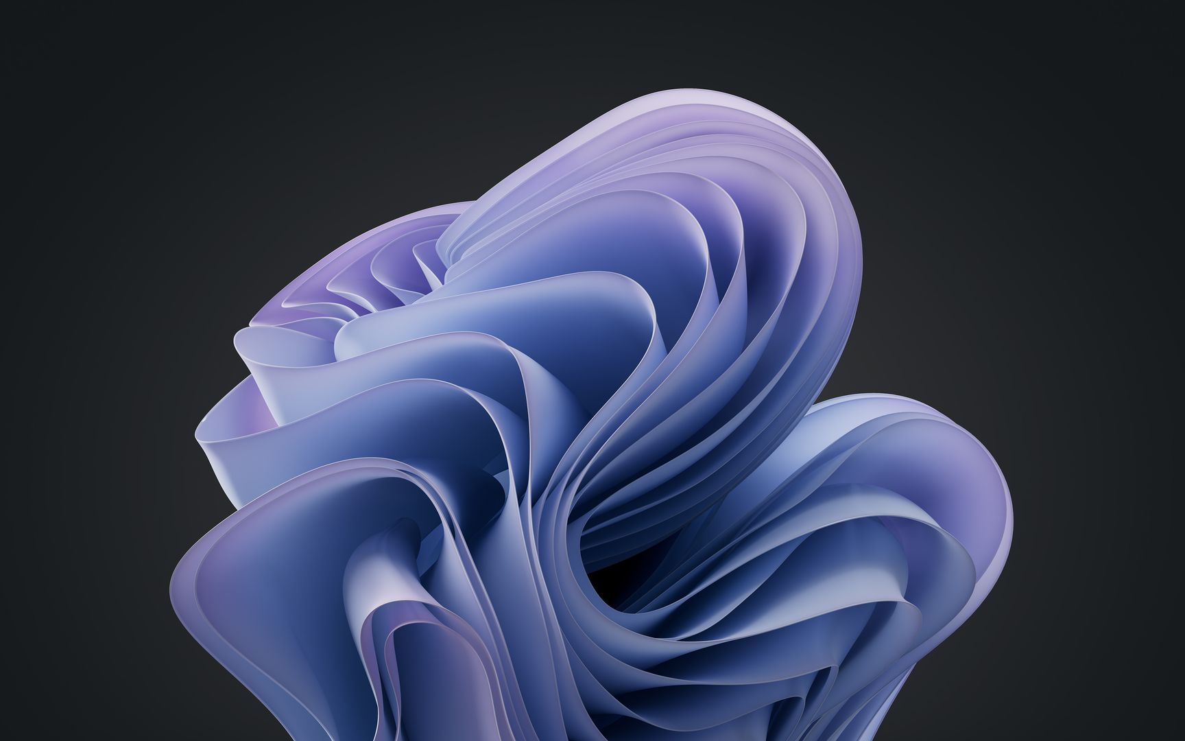 Windows 11 Purple Bloom Abstract 4K Wallpaper