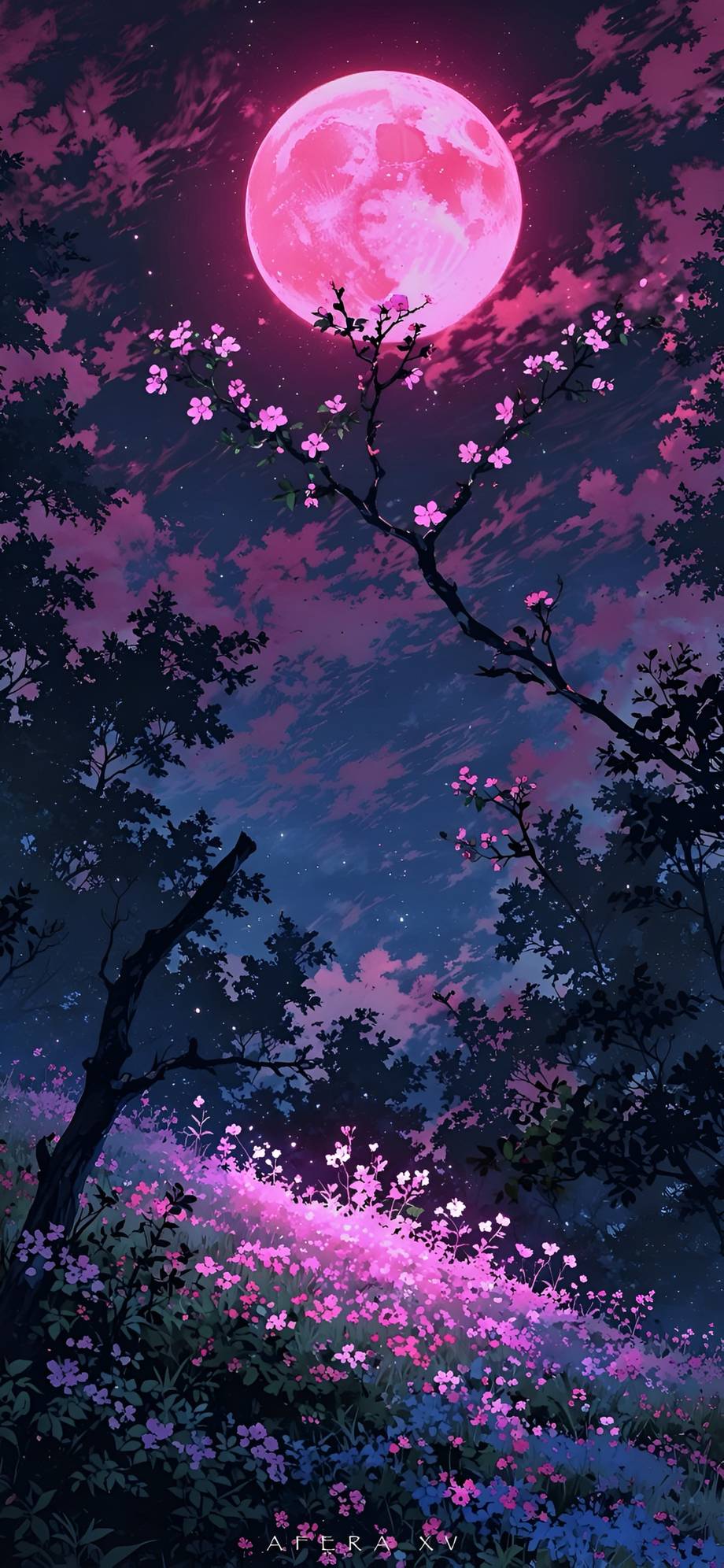 Anime Pink Moon Cherry Blossom Usiku Wallpaper