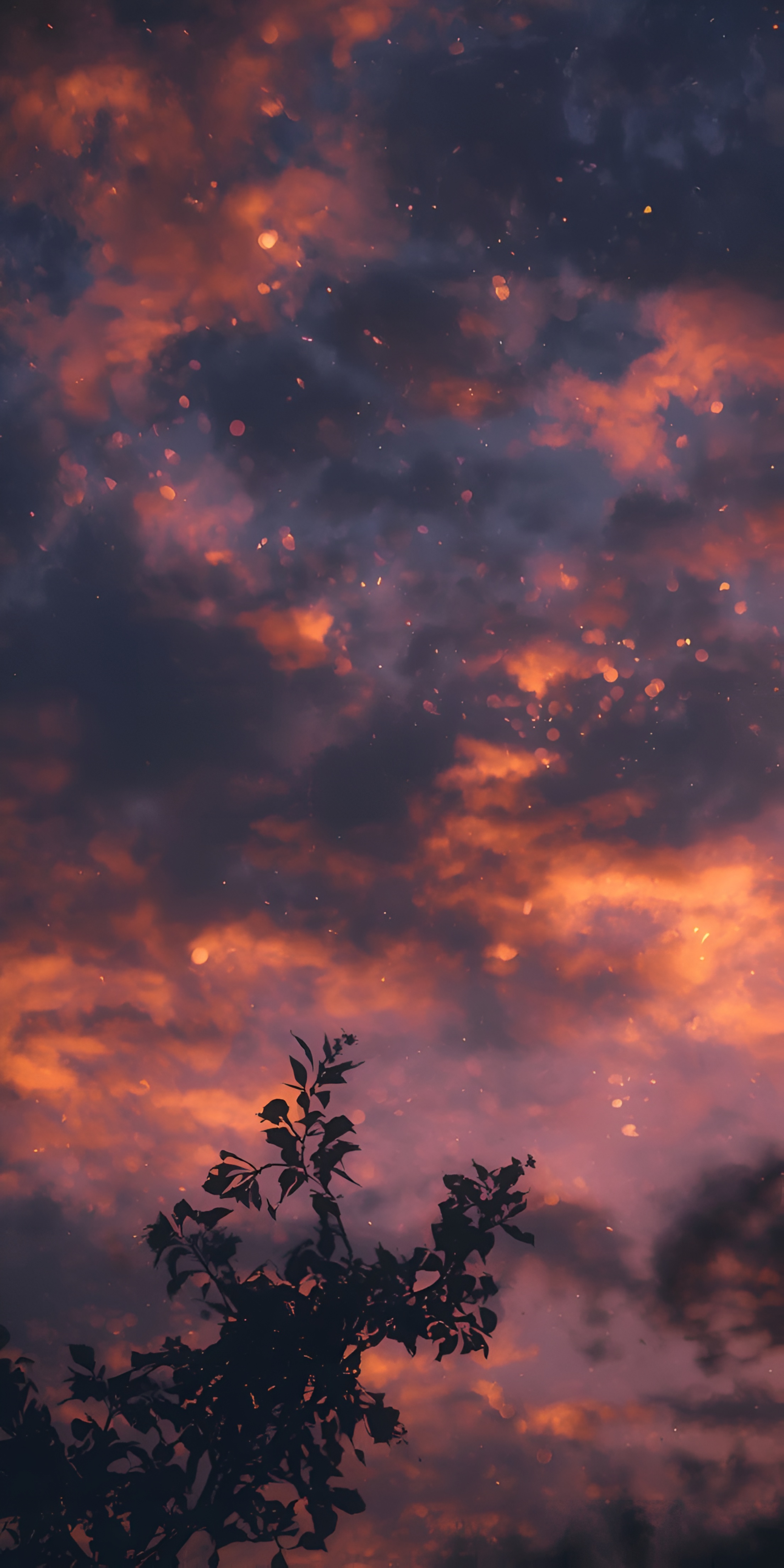 Mandhari ya Anga la Jua Linalochomeka – 4K Wingu la Kuvutia Silhouette