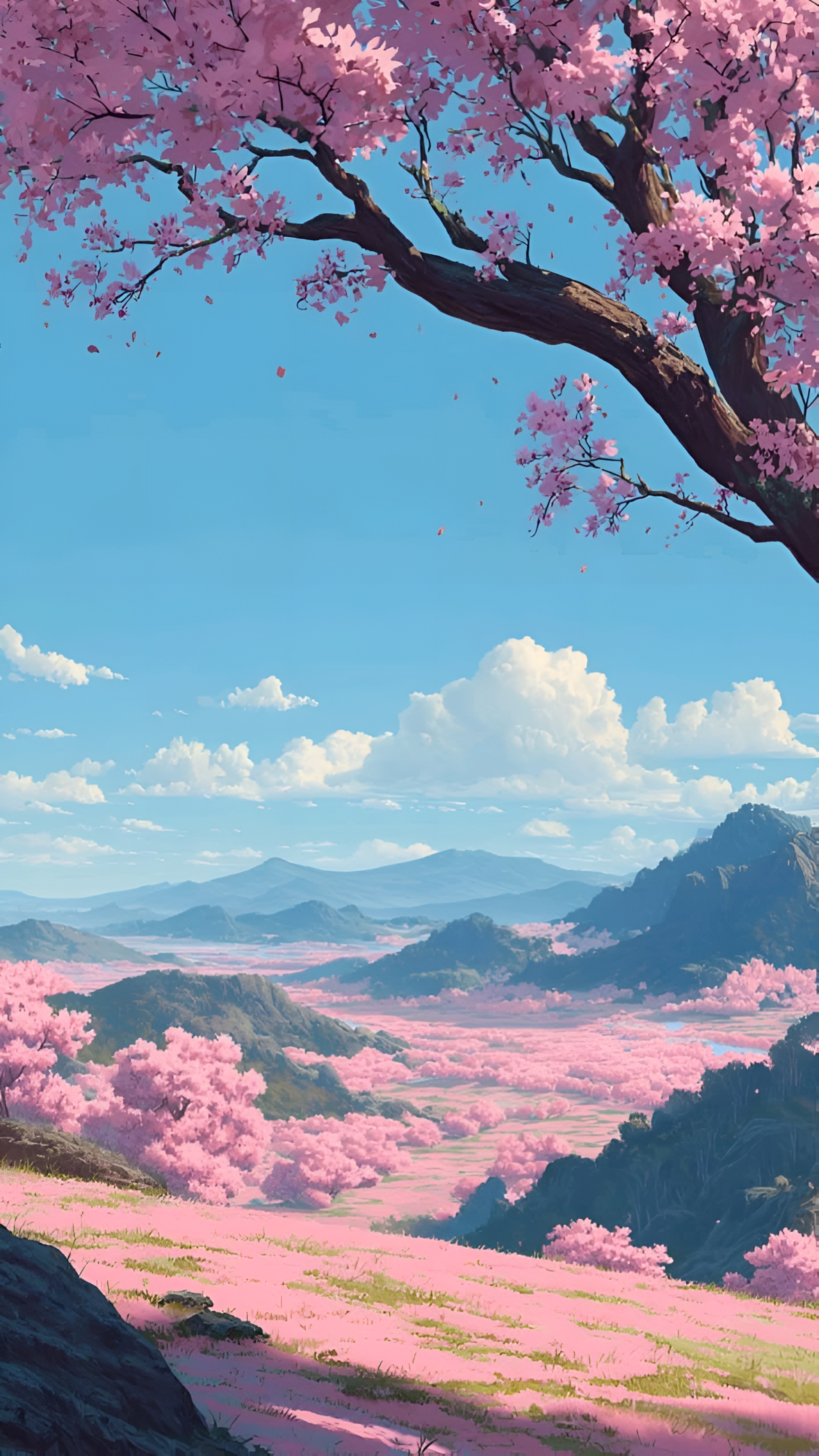 Anime Cherry Blossom Valley Wallpaper 4K