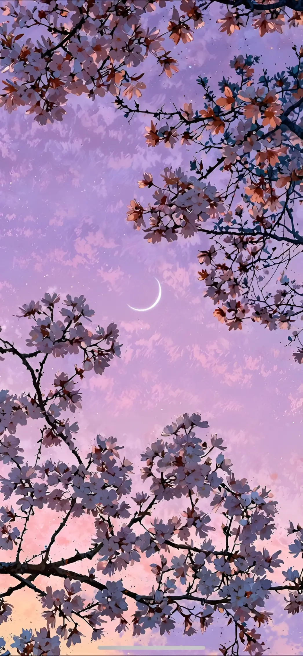 Anime Cherry Blossom Moon Night Wallpaper