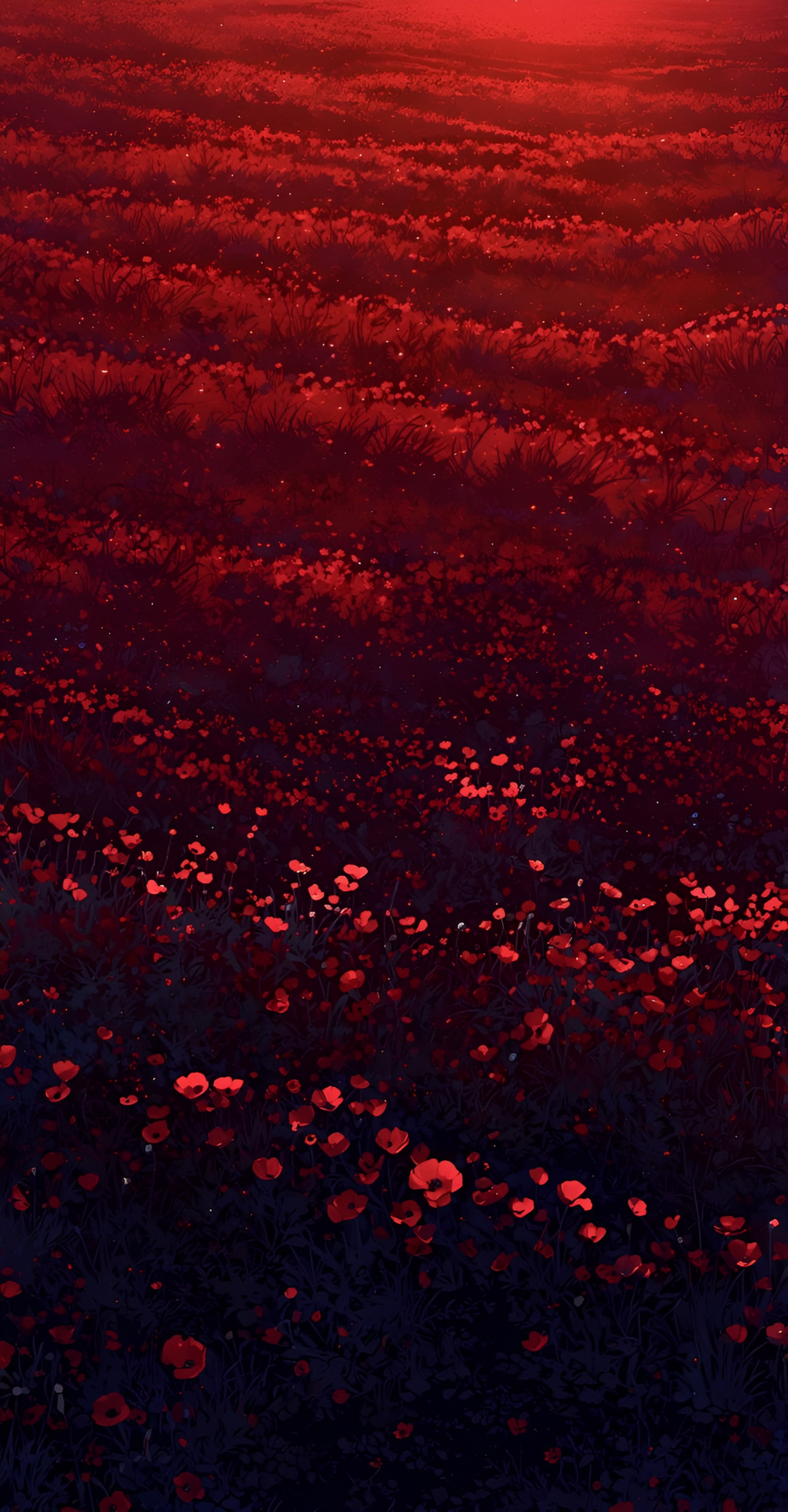 Crimson Poppy Field Wallpaper