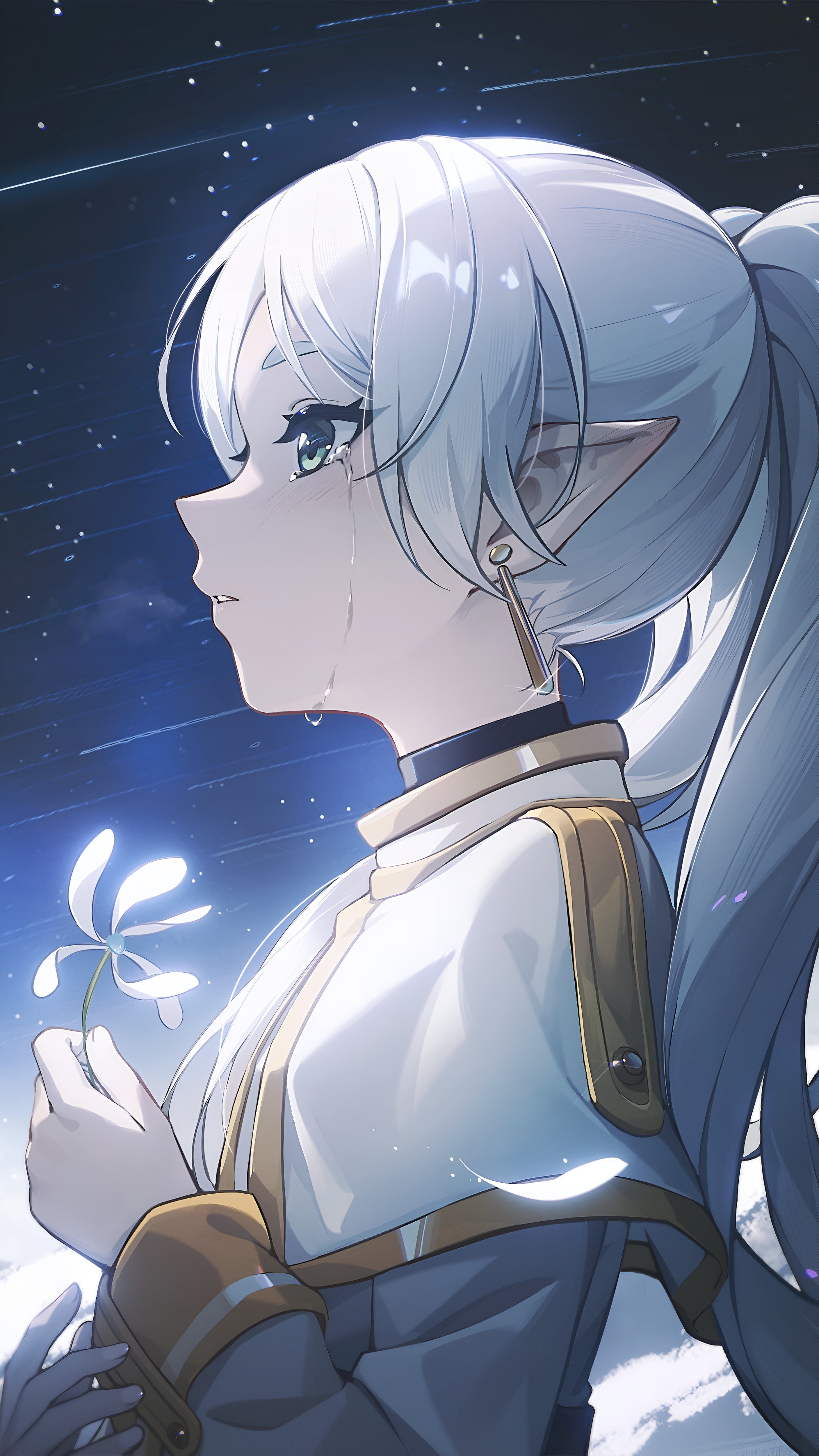 Frieren Anime Wallpaper – Starry Night 4K