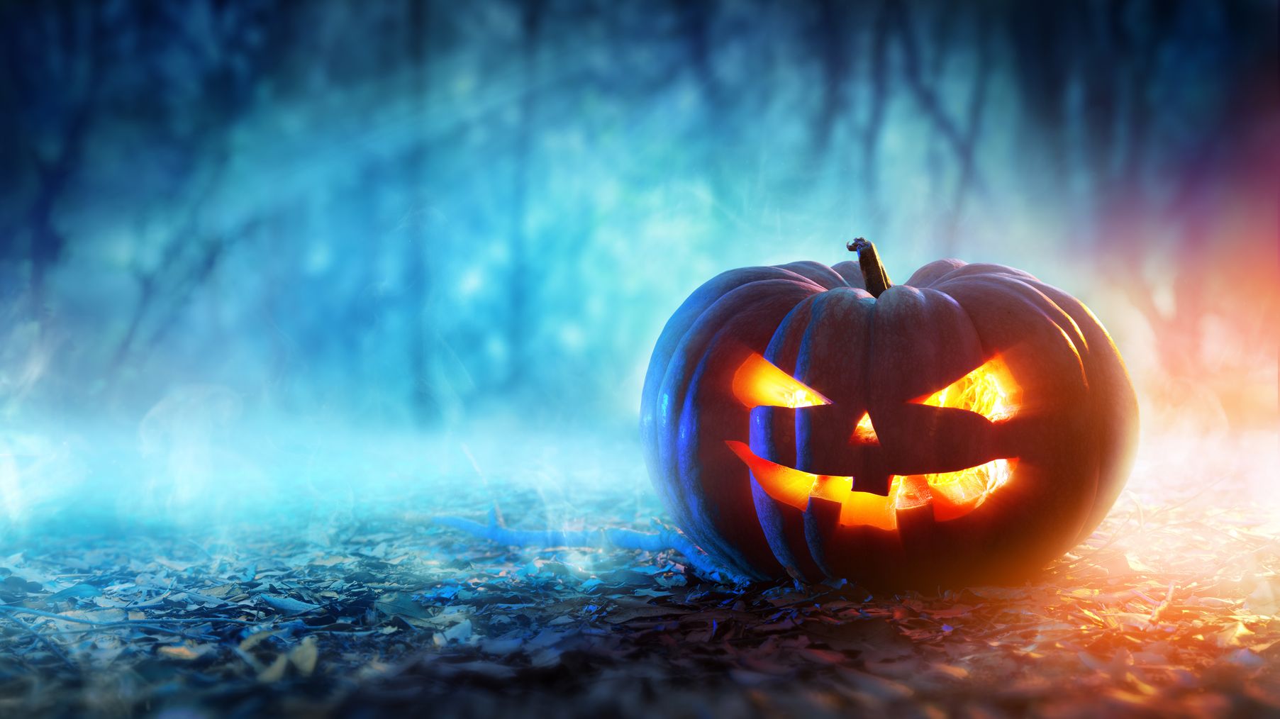 Halloween Jack-o'-Lantern 4K Wallpaper Blue Forest