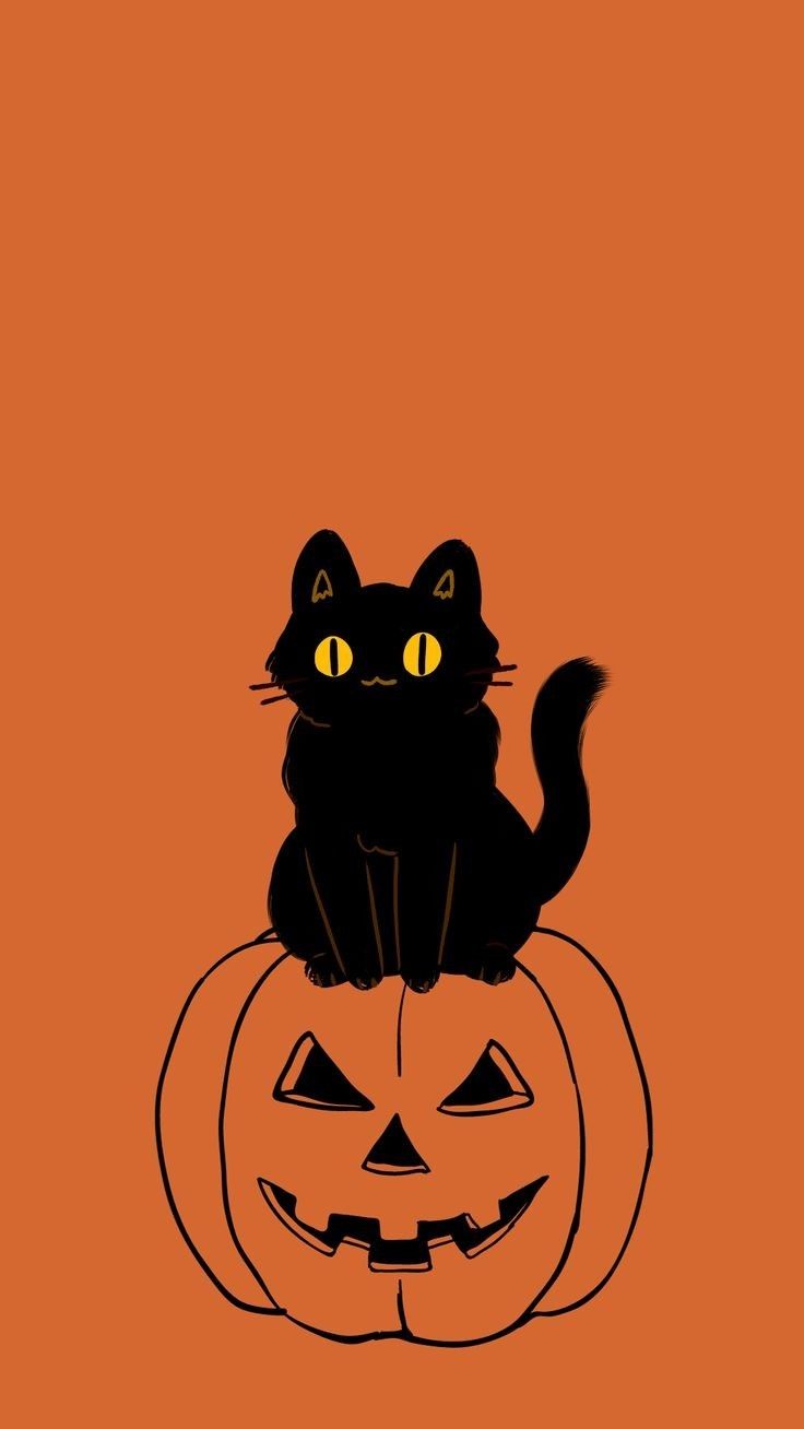 Halloween Black Cat Pumpkin 4K Wallpaper