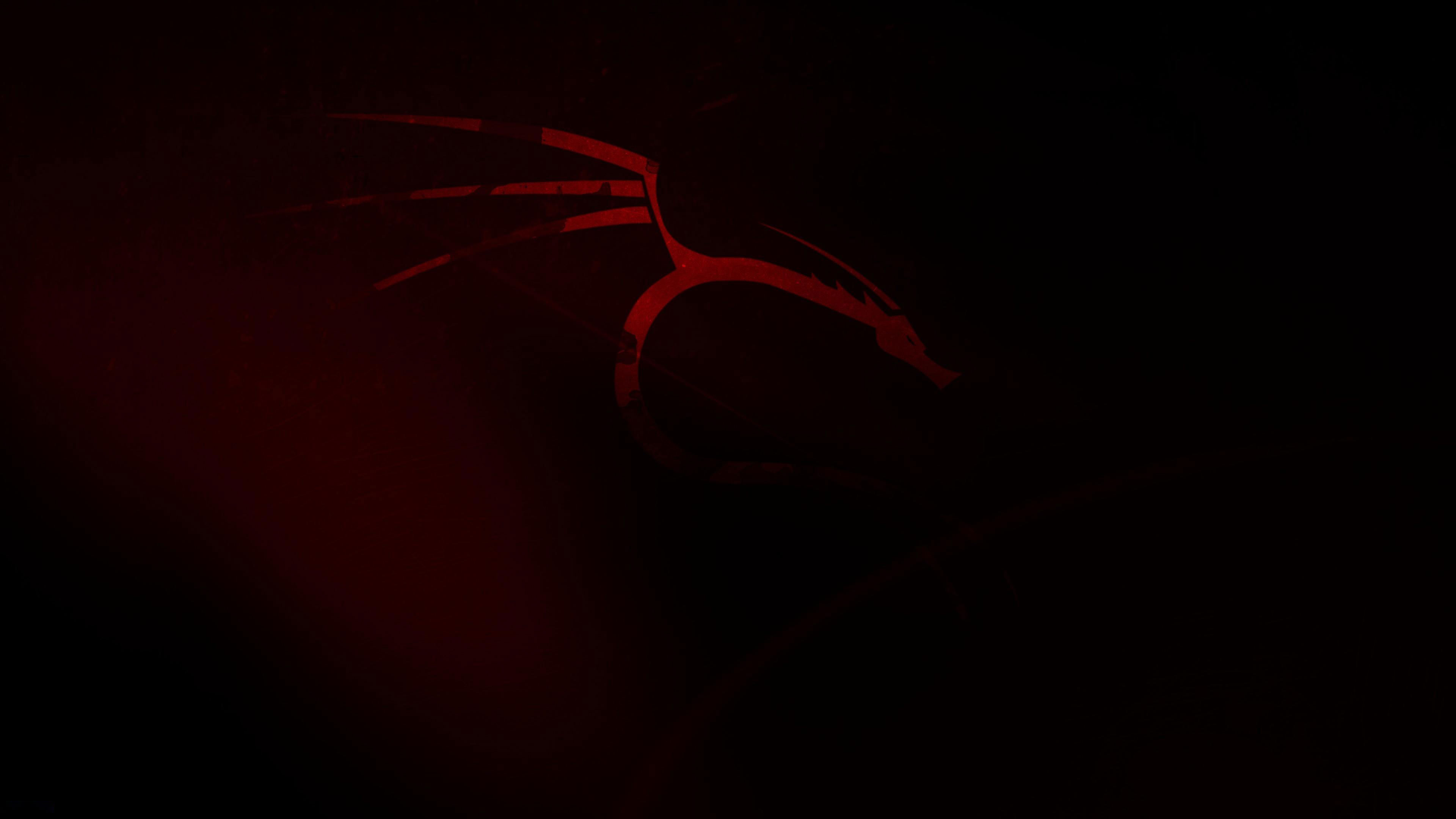 Kali Linux Dragon 4K Wallpaper