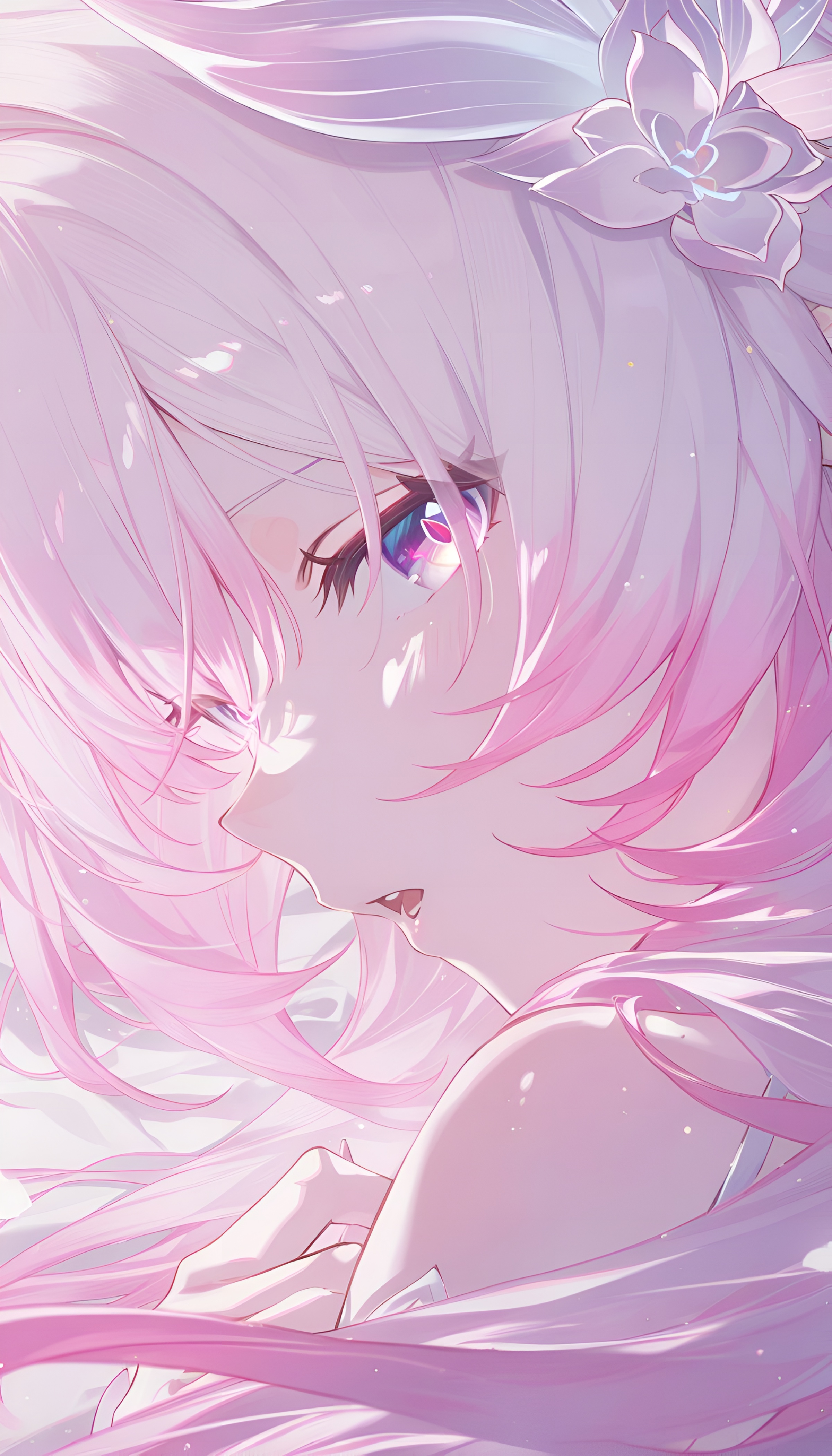 Elysia Pink Lotus Wallpaper Honkai Impact 3rd