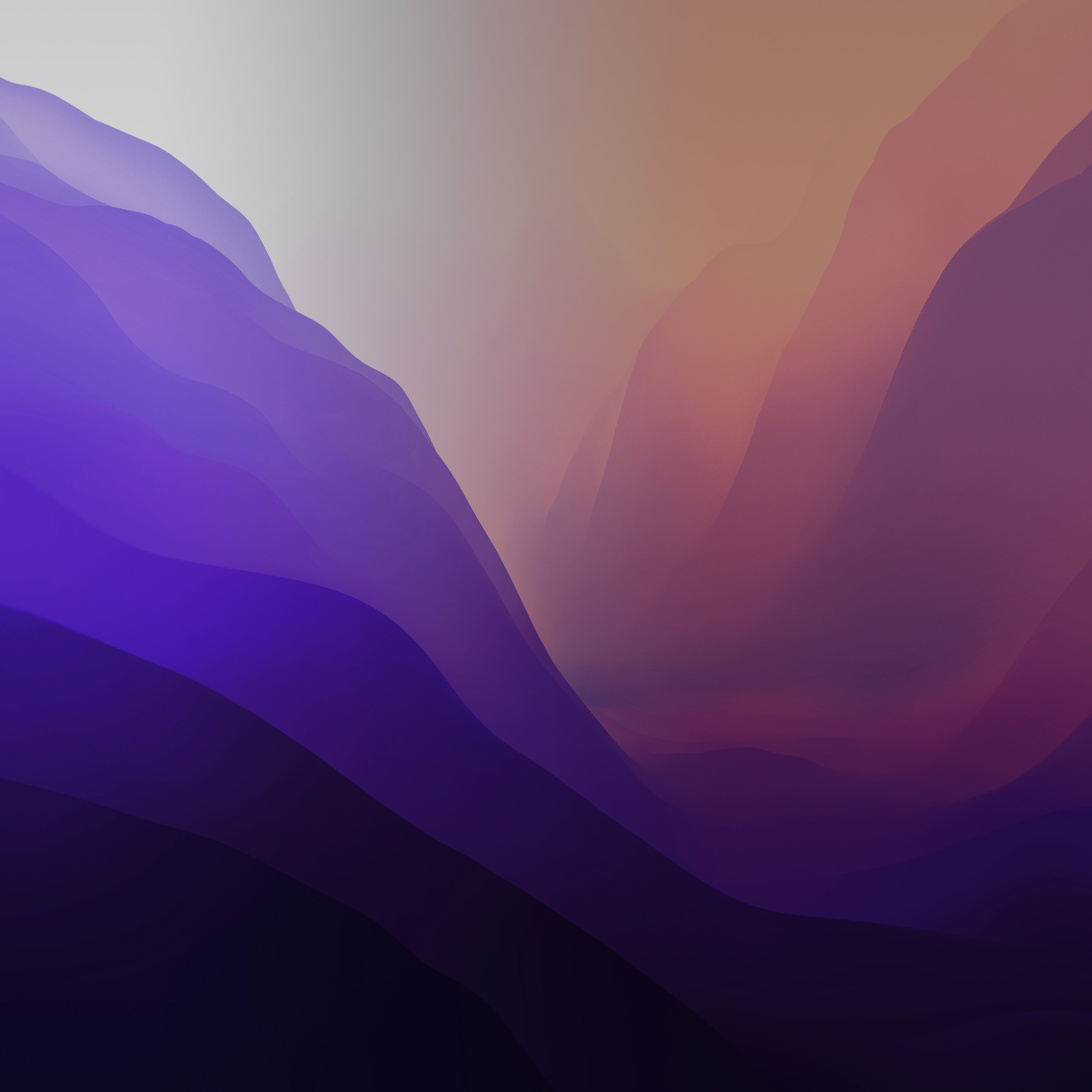 macOS Monterey Purple Wave Abstract 4K Wallpaper