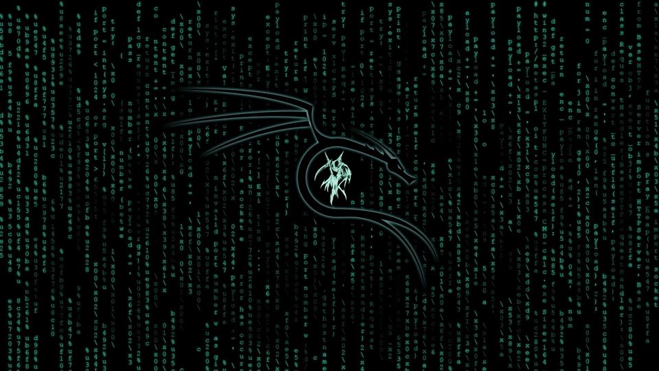 วอลเปเปอร์ Kali Linux Dragon Matrix Code 4K