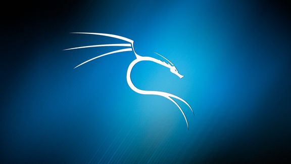 วอลเปเปอร์ 4K โลโก้มังกร Kali Linux สีน้ำเงิน