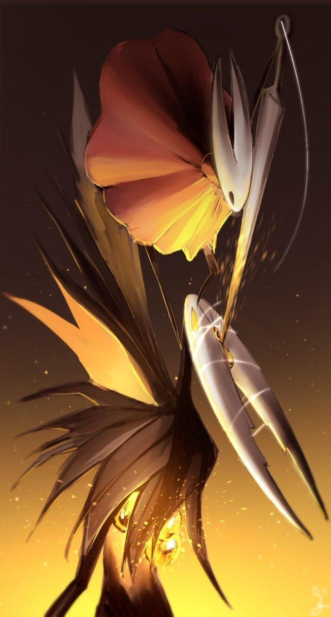 วอลเปเปอร์ Hollow Knight Radiance vs Hollow Knight